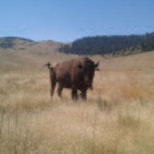 Meet your Posher, Hallie